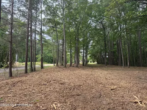 Evergreen Drive, Brandon, MS 39042 photo 16