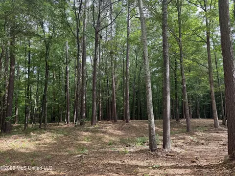 Evergreen Drive, Brandon, MS 39042 photo 21