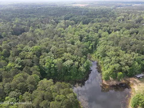 Evergreen Drive, Brandon, MS 39042 photo 28