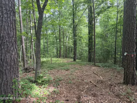 Evergreen Drive, Brandon, MS 39042 photo 3