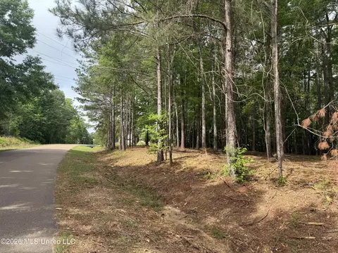 Evergreen Drive, Brandon, MS 39042 photo 19
