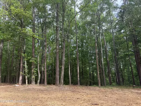 Evergreen Drive, Brandon, MS 39042 photo 18