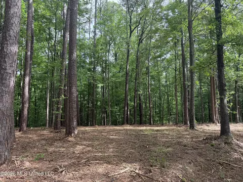 Evergreen Drive, Brandon, MS 39042 photo 22
