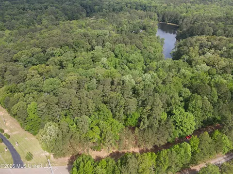 Evergreen Drive, Brandon, MS 39042 photo 24