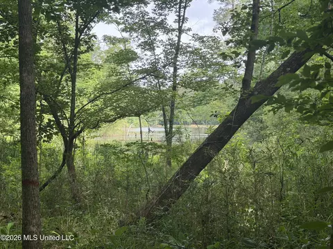Evergreen Drive, Brandon, MS 39042 photo 9
