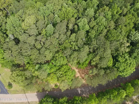 Evergreen Drive, Brandon, MS 39042 photo 26