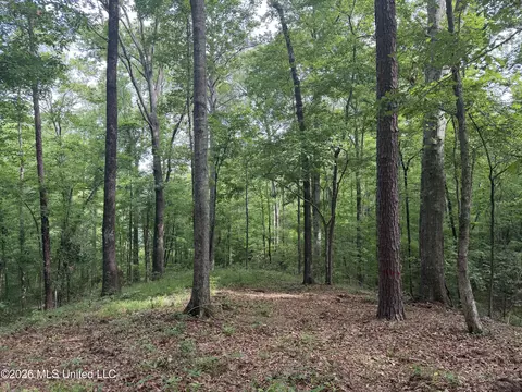 Evergreen Drive, Brandon, MS 39042 photo 4