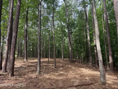 Evergreen Drive, Brandon, MS 39042 photo 2