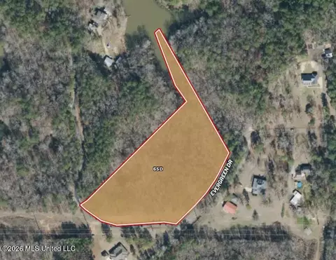 Evergreen Drive, Brandon, MS 39042 photo 34