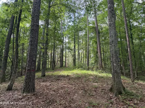 Evergreen Drive, Brandon, MS 39042 photo 13