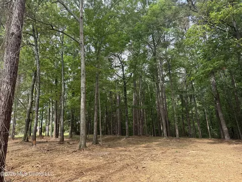 Evergreen Drive, Brandon, MS 39042 photo 17