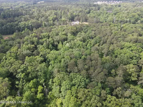 Evergreen Drive, Brandon, MS 39042 photo 30