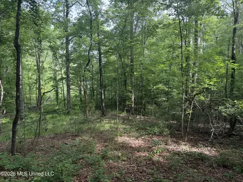 Evergreen Drive, Brandon, MS 39042 photo 5