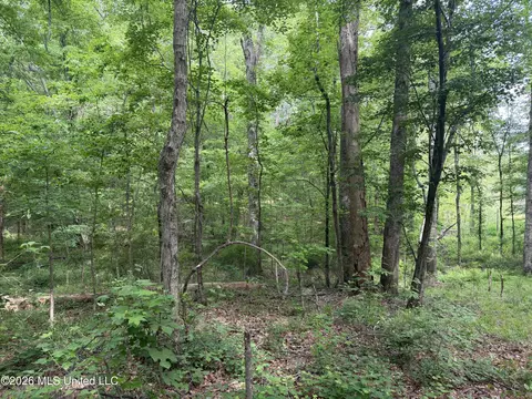Evergreen Drive, Brandon, MS 39042 photo 12