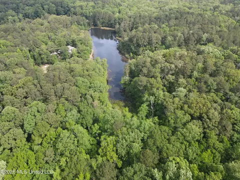 Evergreen Drive, Brandon, MS 39042 photo 27