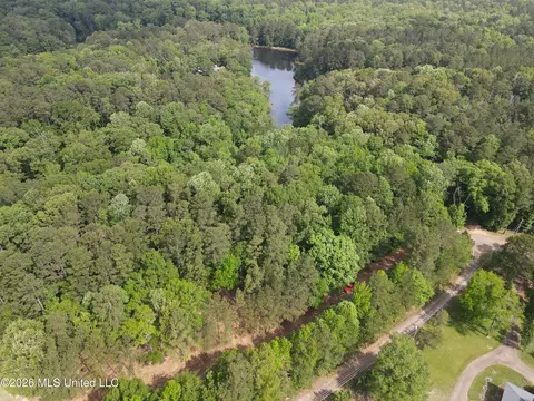 Evergreen Drive, Brandon, MS 39042 photo 25