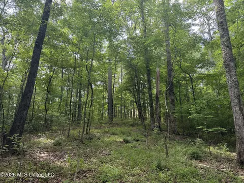 Evergreen Drive, Brandon, MS 39042 photo 10