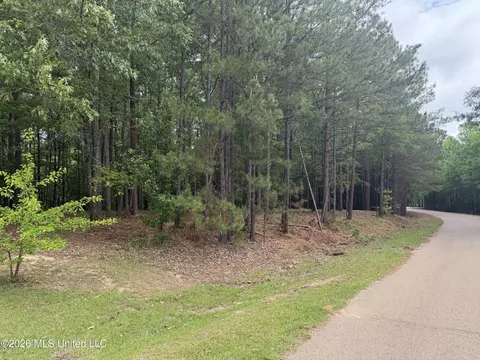 Evergreen Drive, Brandon, MS 39042 photo 20