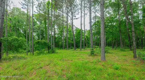 175 Hunters Cv, Madison, MS 39110 photo 8