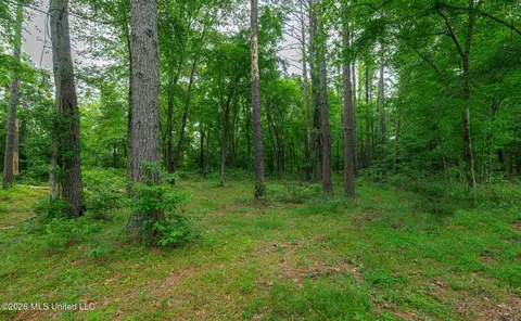 175 Hunters Cv, Madison, MS 39110 photo 9