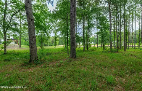 175 Hunters Cv, Madison, MS 39110 photo 10