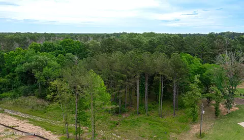 175 Hunters Cv, Madison, MS 39110 photo 18