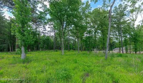 159 Hunters Cv, Madison, MS 39110 photo 10