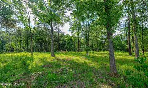 159 Hunters Cv, Madison, MS 39110 photo 8