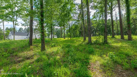 159 Hunters Cv, Madison, MS 39110 photo 9
