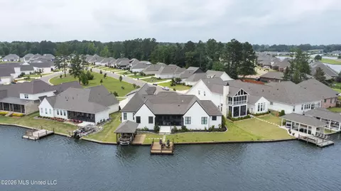 View/Area - 140 Herons Bay Cir, Madison, MS 39110 photo 3 of 4
