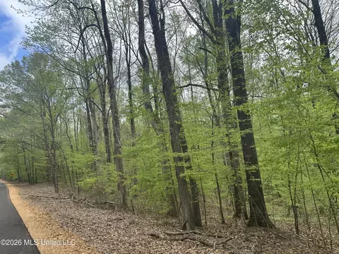 Tanyard Road, Hernando, MS 38632 photo 2