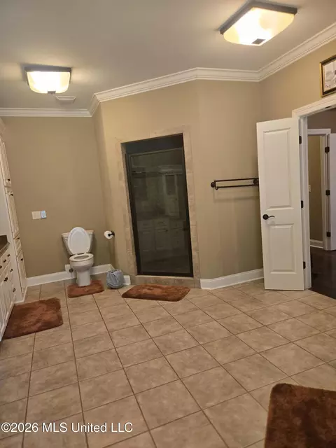 Bath - 8300 Springridge Rd, Terry, MS 39170 photo 2 of 6