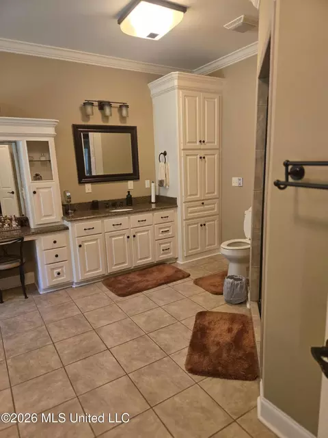 Bath - 8300 Springridge Rd, Terry, MS 39170 photo 3 of 6