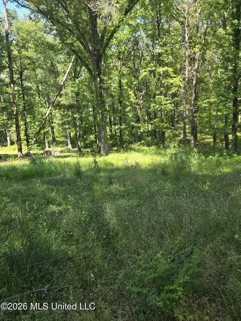 Exterior - 8300 Springridge Rd, Terry, MS 39170 photo 5 of 5