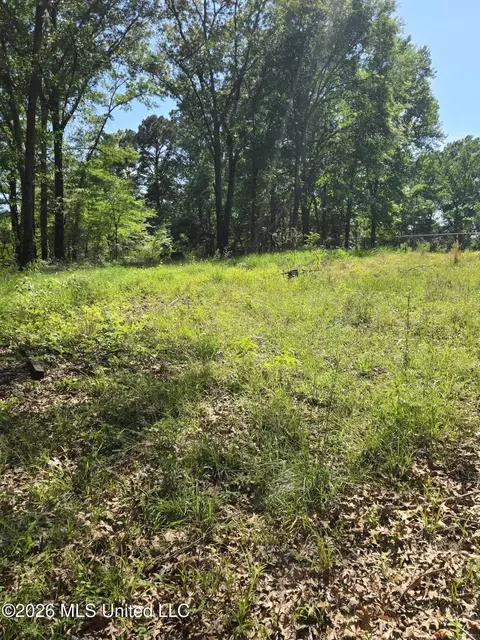 Other - 8300 Springridge Rd, Terry, MS 39170 photo 7 of 11