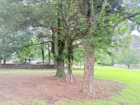 SW Fourth Street, Flora, MS 39071 photo 4