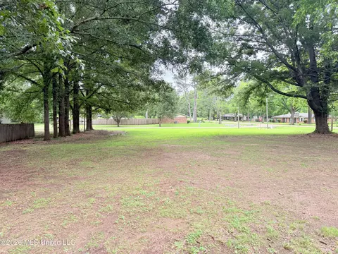 SW Fourth Street, Flora, MS 39071 photo 6