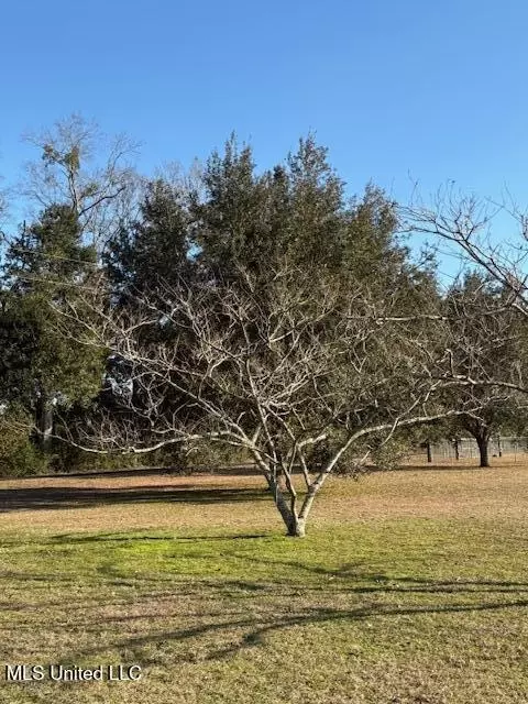 Exterior - 147 Howells Ferry Rd, Lucedale, MS 39452 photo 8 of 12