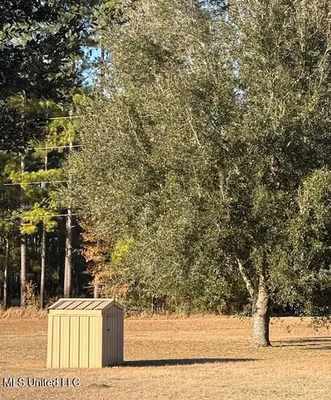 Other - 147 Howells Ferry Rd, Lucedale, MS 39452 photo 12 of 23