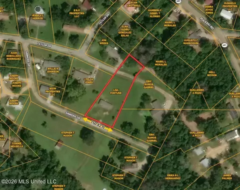 View/Area - 112 Simmons Dr, Morton, MS 39117 photo 1 of 1