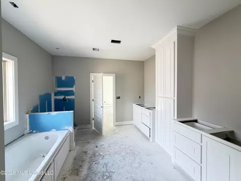 Bath - 218 New Haven Ln, Brandon, MS 39042 photo 2 of 3
