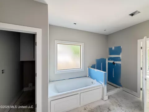 Bath - 218 New Haven Ln, Brandon, MS 39042 photo 1 of 3