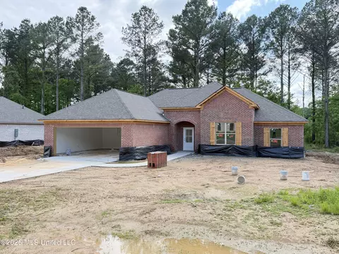 Exterior - 218 New Haven Ln, Brandon, MS 39042 photo 3 of 5