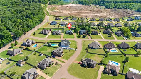 View/Area - 4929 Bakersfield Dr, Nesbit, MS 38651 photo 6 of 6