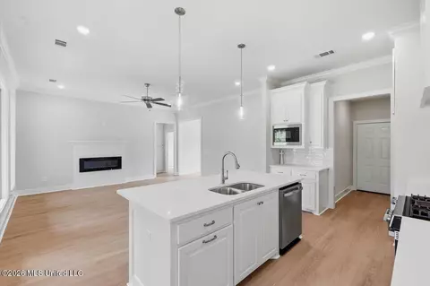 Other - 214 New Haven Ln, Brandon, MS 39042 photo 4 of 16