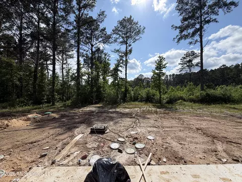 Exterior - 214 New Haven Ln, Brandon, MS 39042 photo 3 of 4