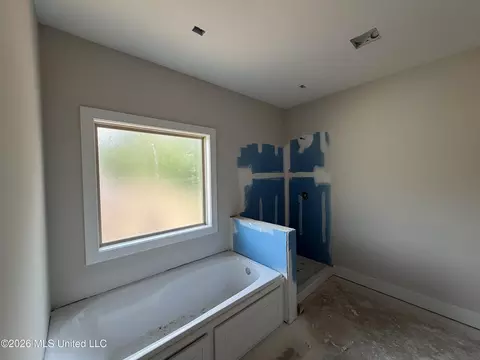 Bath - 214 New Haven Ln, Brandon, MS 39042 photo 2 of 2