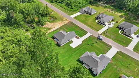 View/Area - 214 New Haven Ln, Brandon, MS 39042 photo 18 of 20