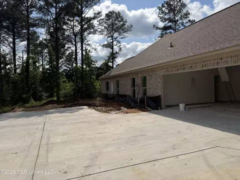 Exterior - 214 New Haven Ln, Brandon, MS 39042 photo 4 of 4