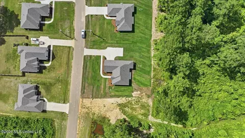 View/Area - 214 New Haven Ln, Brandon, MS 39042 photo 13 of 20